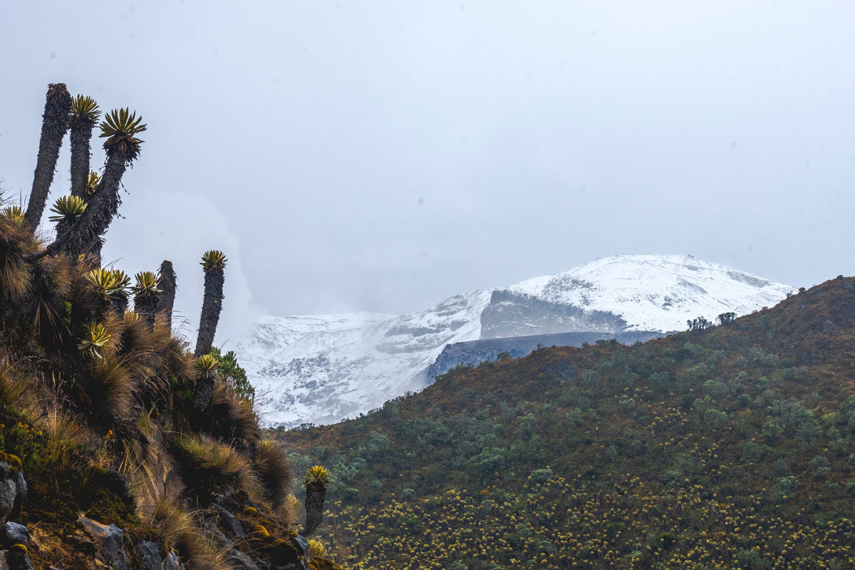 Learning to Love a Mountain: Scarab’s Sixth Anniversary Ride Up El Sifón